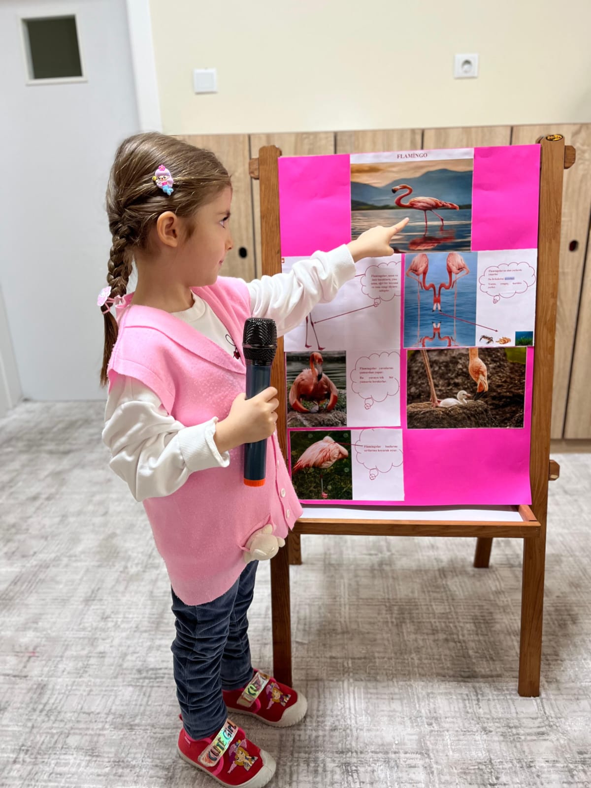 Kanatlı Hayvanlar Tanıtım Günleri 7. Flamingo