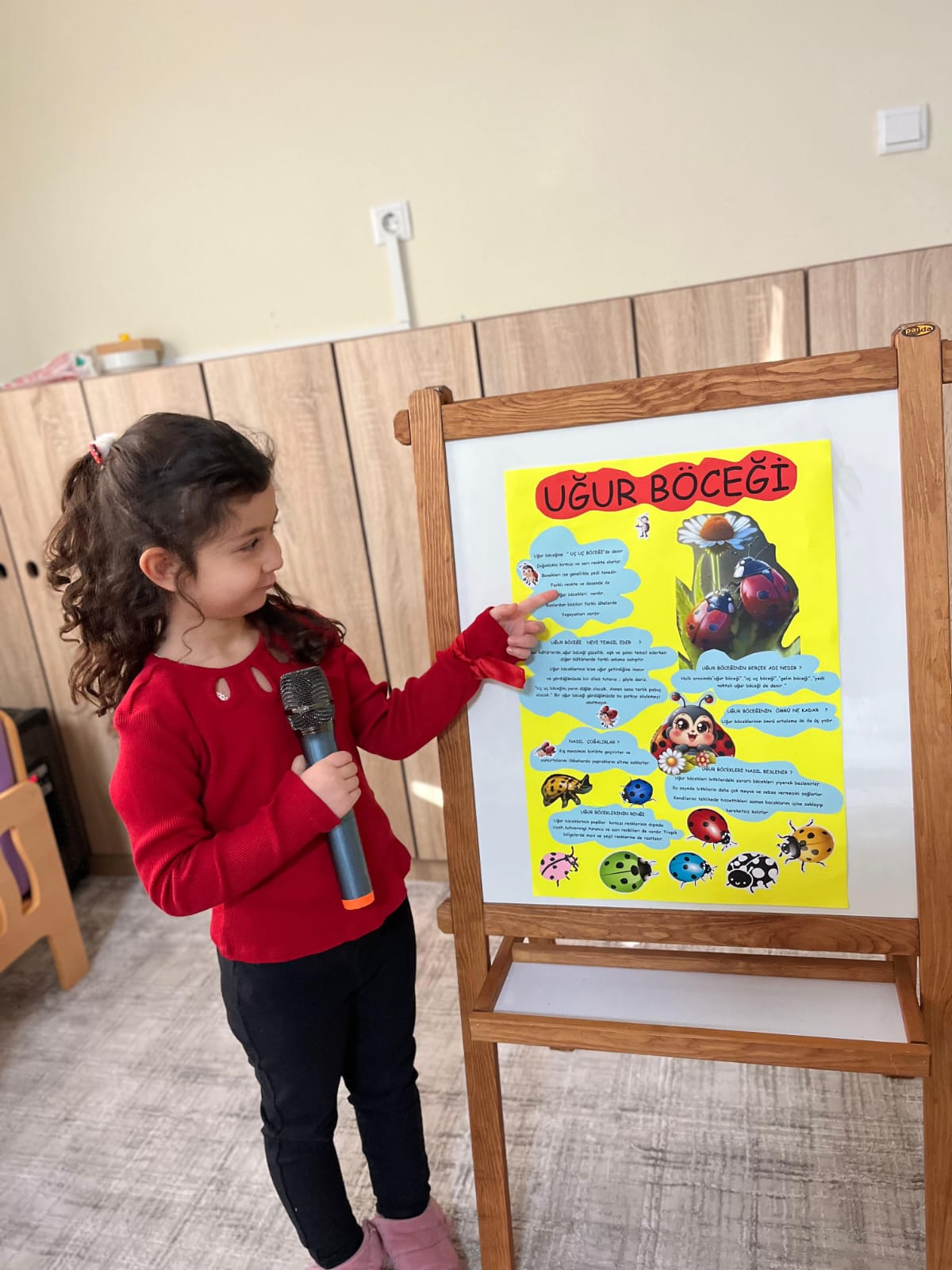 Kanatlı Hayvanlar Tanıtım Günleri 2. Uğur Böceği