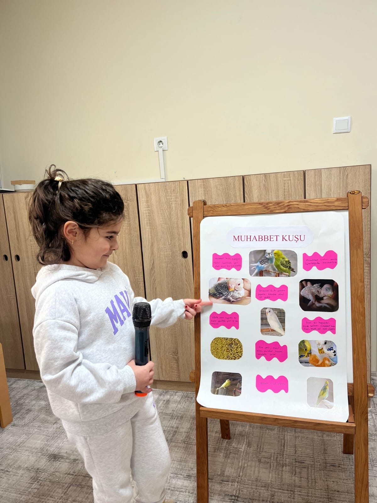 Kanatlı Hayvanlar Tanıtım Günleri 3. Muhabbet Kuşu