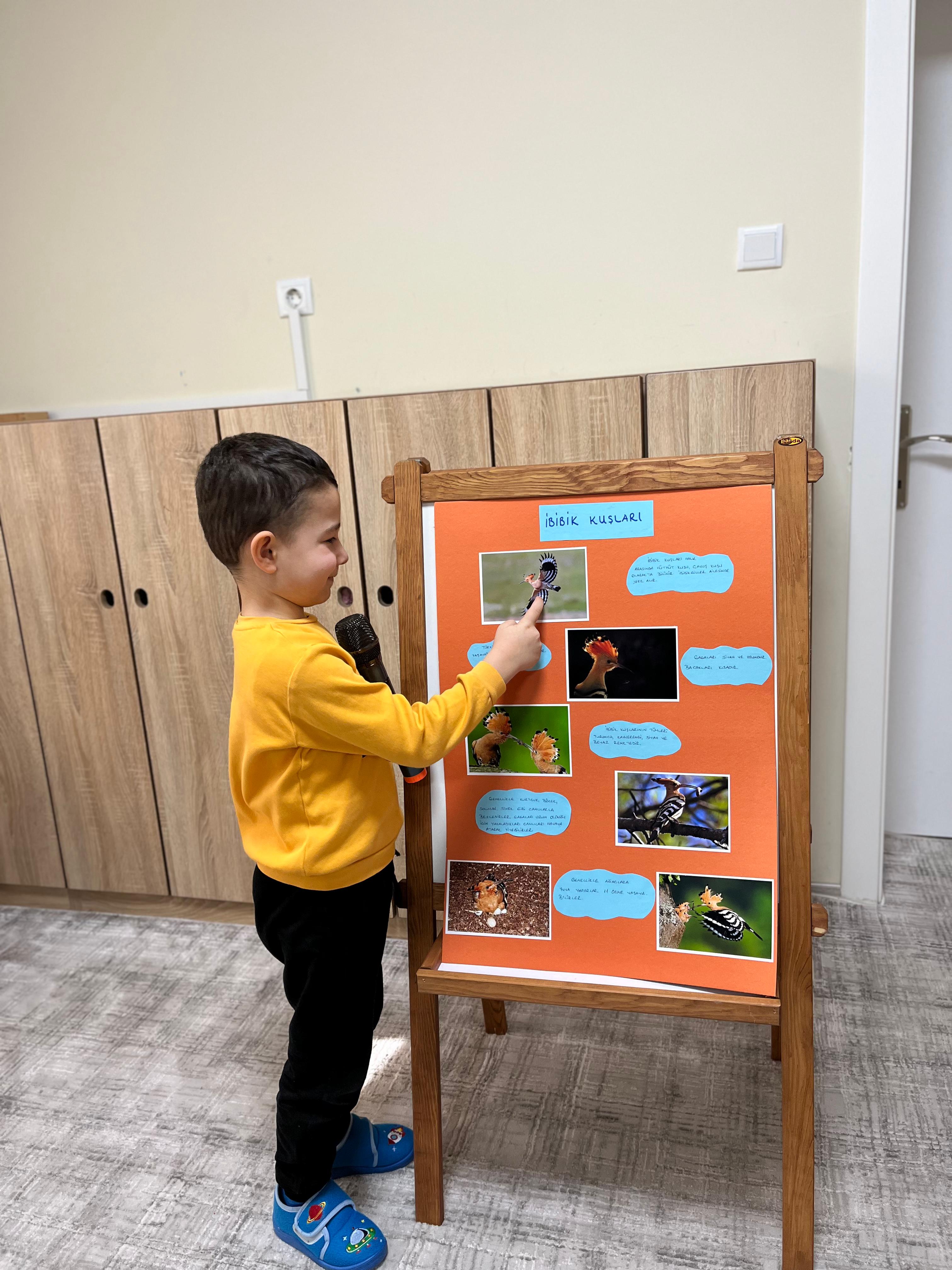 Kanatlı Hayvanlar Tanıtım Günleri 4. İbibik Kuşu