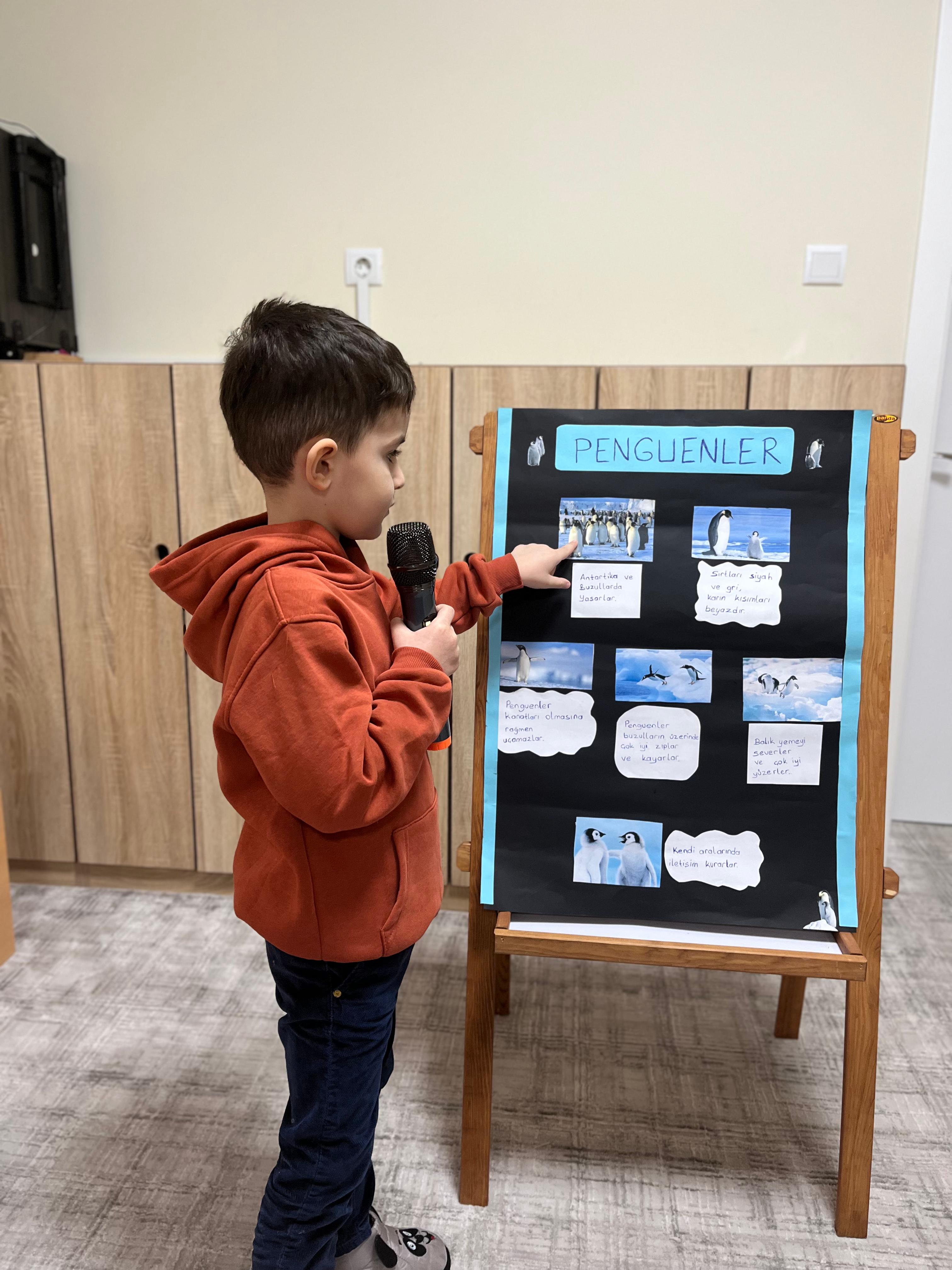 Kanatlı Hayvanlar Tanıtım Günleri 6. Penguen