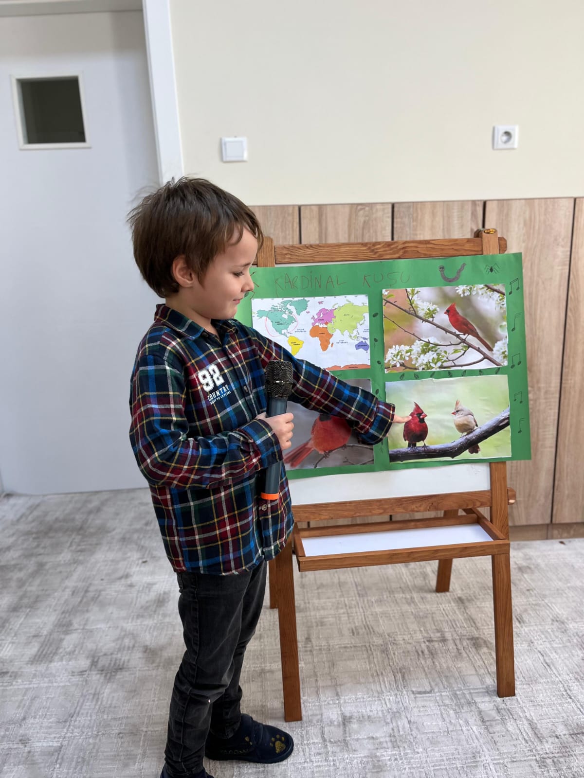 Kanatlı Hayvanlar Tanıtım Günleri 8. Kardinal Kuşu