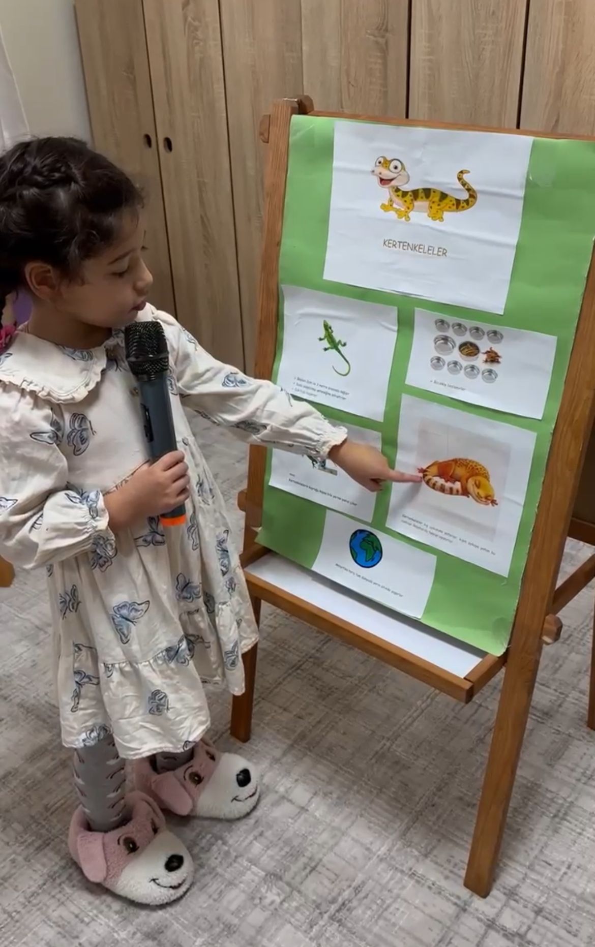 Toprakta ve Suda Yaşayan Hayvanların Tanıtım Günleri 2. Kertenkele